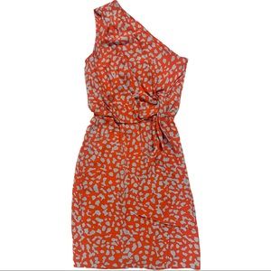 Diane Von Furstenburg 4 dress